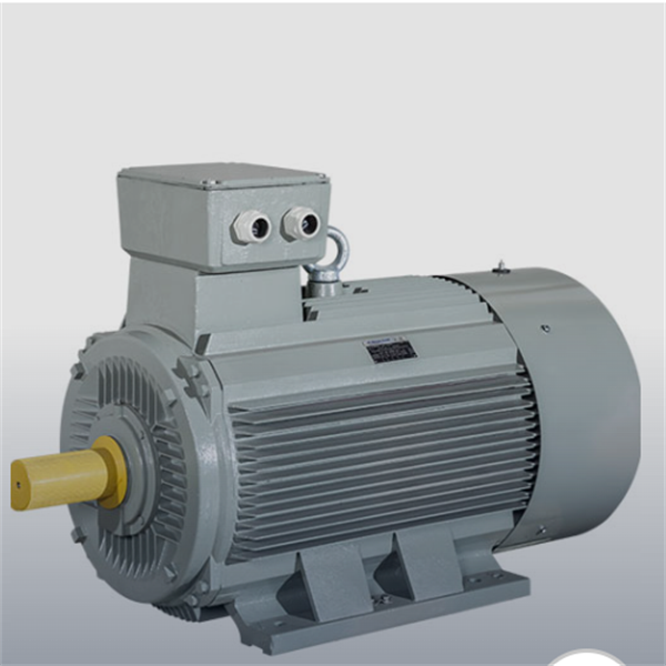 德國(guó)AC MOTOREN三相異步雙速電機(jī)AC10L4800011