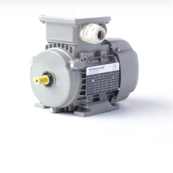 德國(guó)AC MOTOREN三相異步雙速電機(jī)AC10L4800011