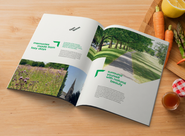 宣傳畫(huà)冊(cè)印刷 宣傳畫(huà)冊(cè)印刷