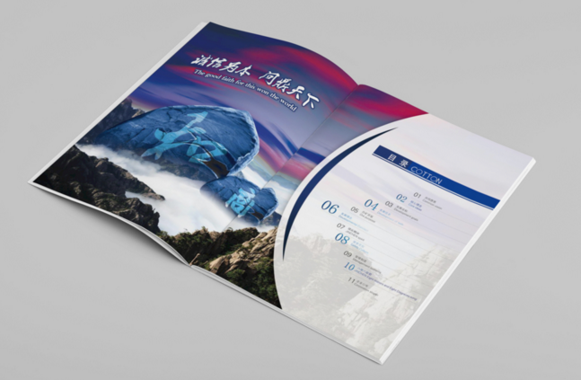 企業(yè)畫冊印刷 企業(yè)畫冊印刷